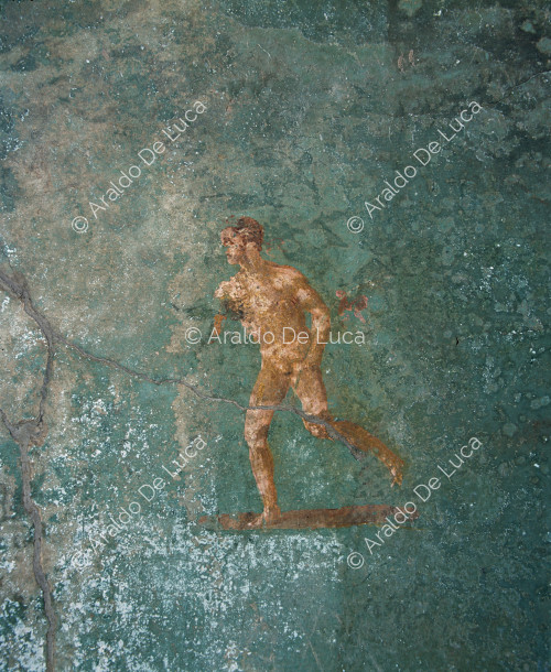 House of Menander. Calidarium. Fresco. Detail with runner