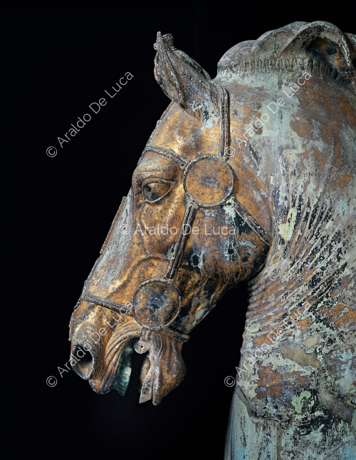 Statua equestre di Marco Aurelio. Particolare