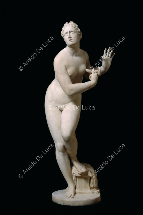 Statue der Venus