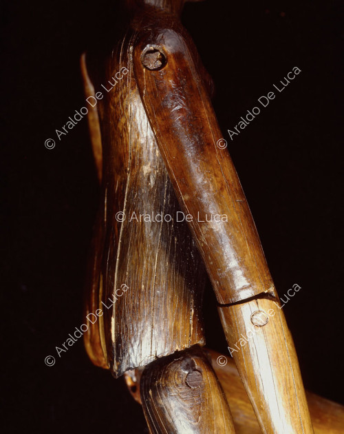 Muñeca de marfil de Crepereia Tryphaena(part.)