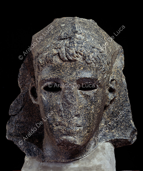 Head of Ptolemy VI Philometor