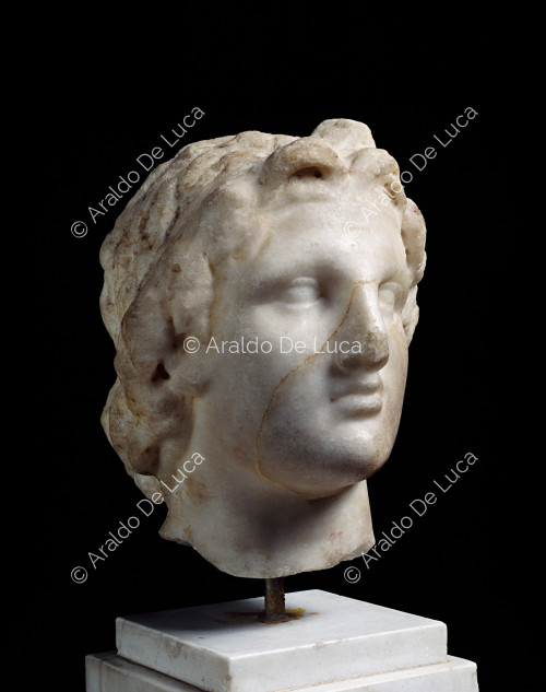 Testa in marmo di Alessandro il Grande