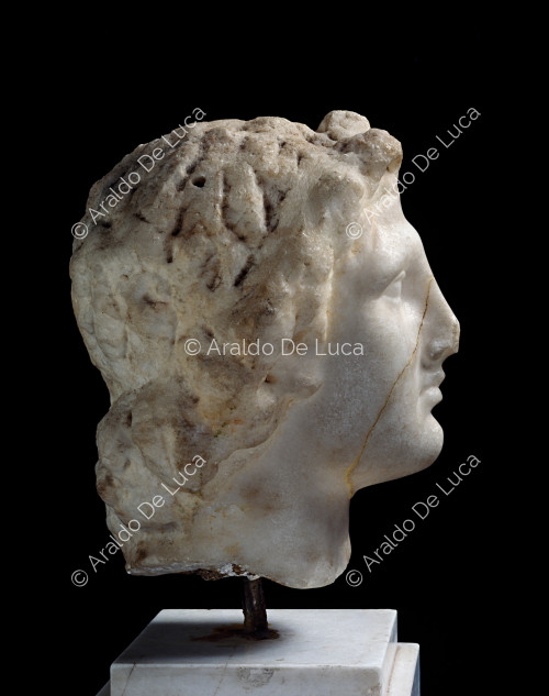 Cabeza de mármol de Alejandro Magno