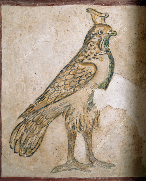 Tombe peinte de Tigrane : le faucon Horus