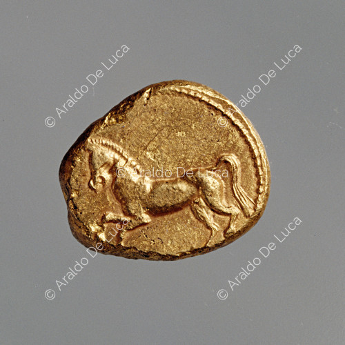 Moneta aurea con rappresentazione di cavallo