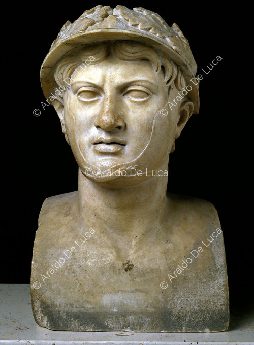 Portrait de Pyrrhus
