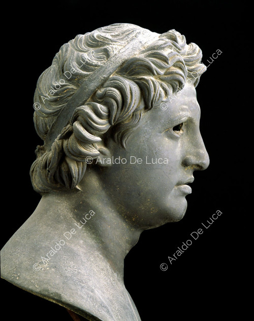 Busto de Seleuco I Nicator