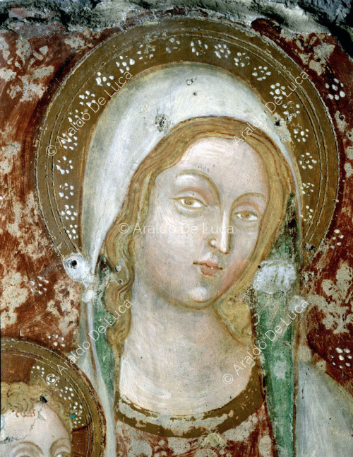 Mary Most Holy of Graces