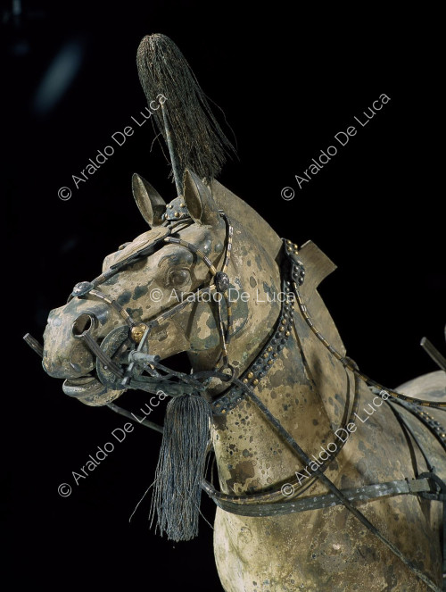 Esercito di Terracotta. Carro in bronzo e cavalli