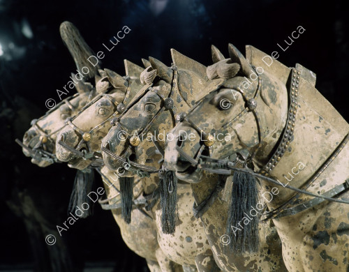 Terracotta Army. Bronze chariot and horses