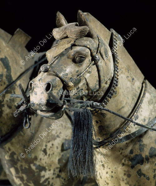 Esercito di Terracotta. Carro in bronzo e cavalli