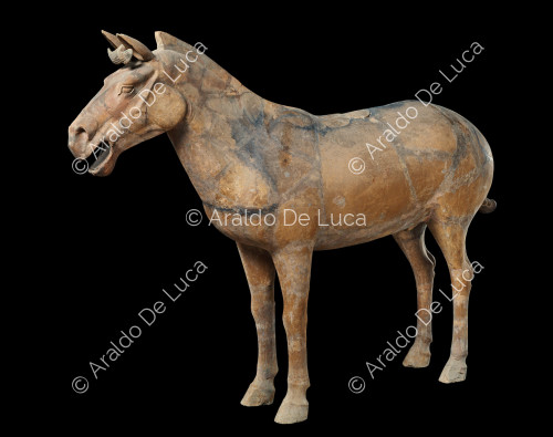 The Terracotta Army. Horse