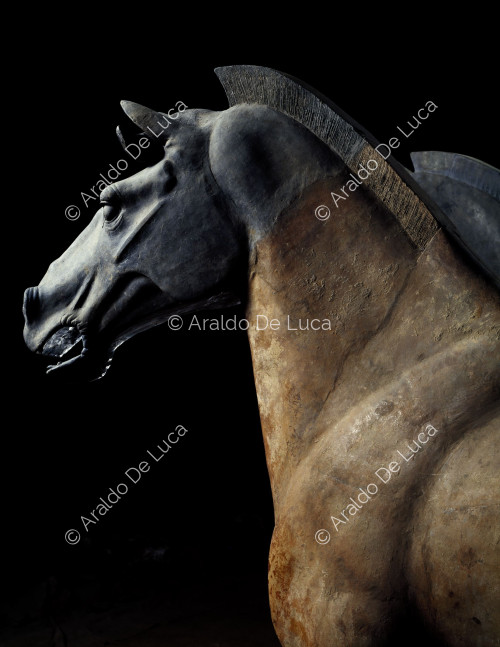 Terracotta Army. Horse