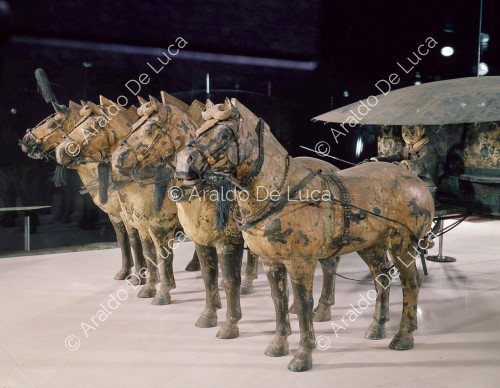 Terracotta Army. Chariot No. 2: horseman with chariot