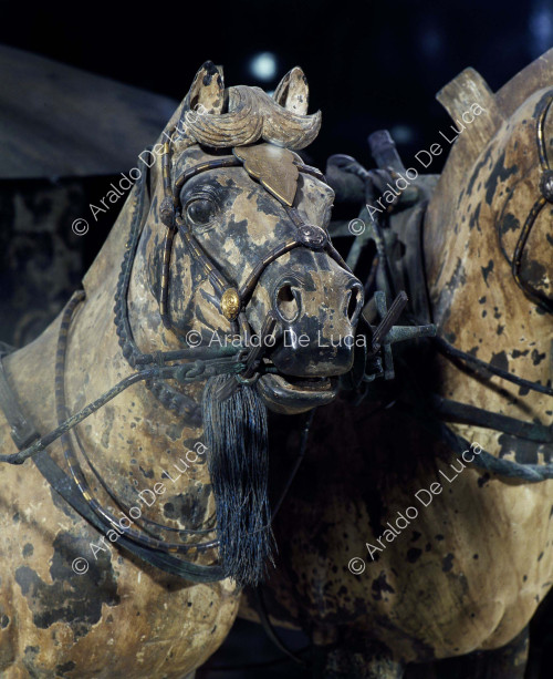 Terrakotta-Armee. Krieger auf Streitwagen. Detail mit Pferden